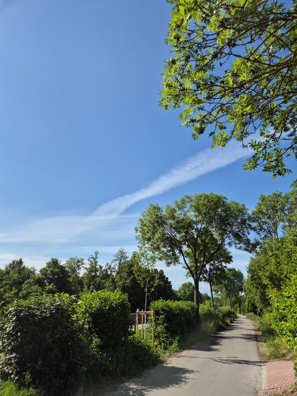 Morning walk documented along rural pathway with overpass