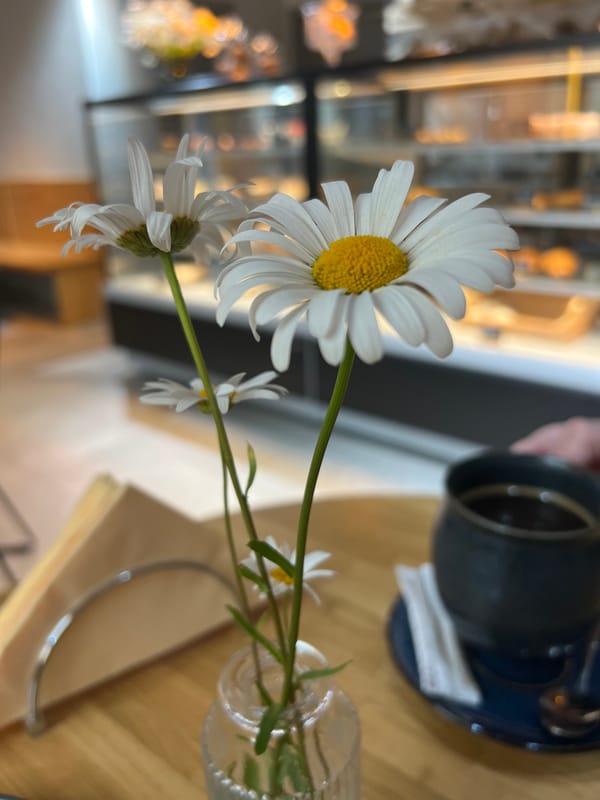 Cozy Russian café stop with pastries, coffee, and fresh daisies