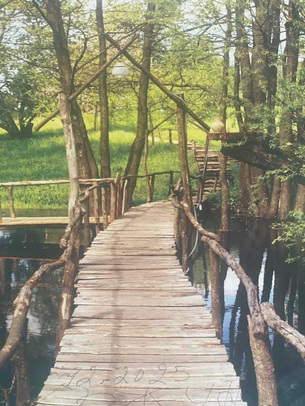 Nature scenes documented across Poltava parks and countryside