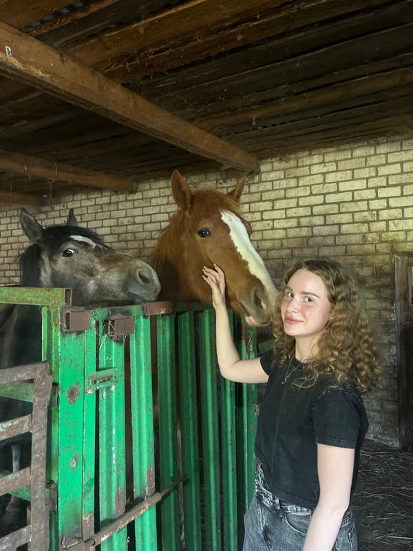 Woman tends horses at Russian stable in Krasnaya Gorka