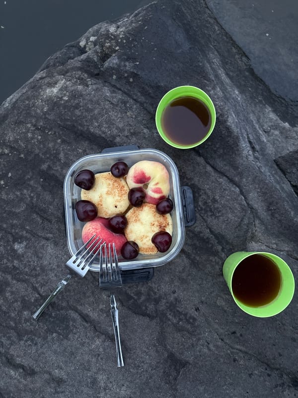Simple outdoor meal on a riverside rock in Nevon