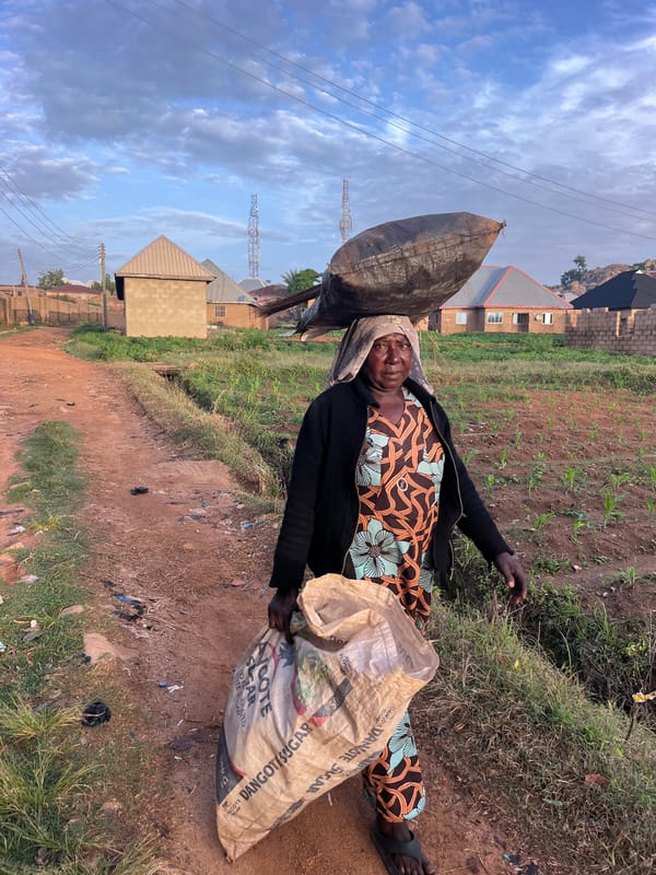 Street life, nature, and movement across an unidentified locale