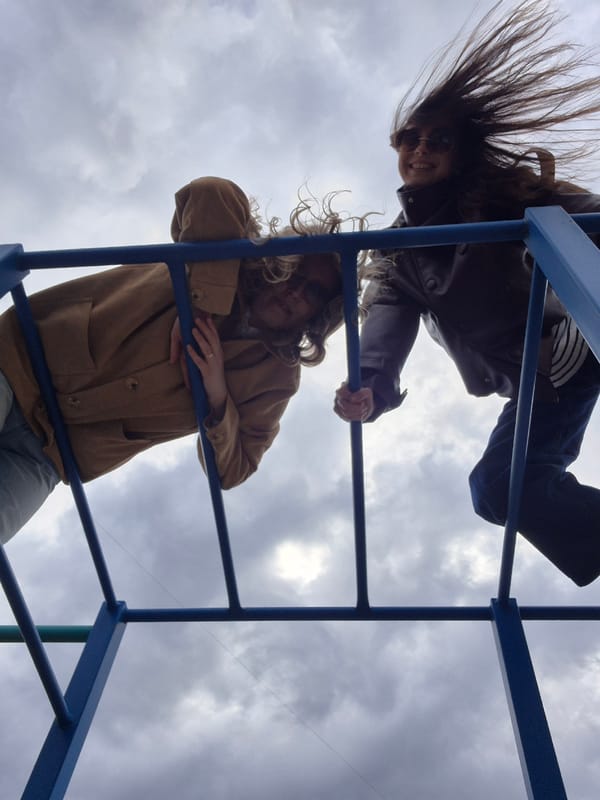 Young adults hang upside down from playground climbing frame