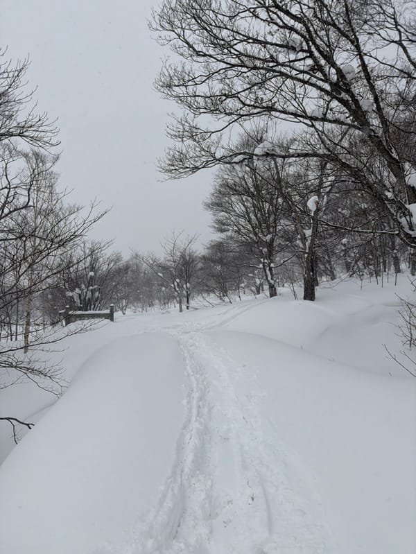 Heavy snowfall documented in Niseko, Japan with deep drifts