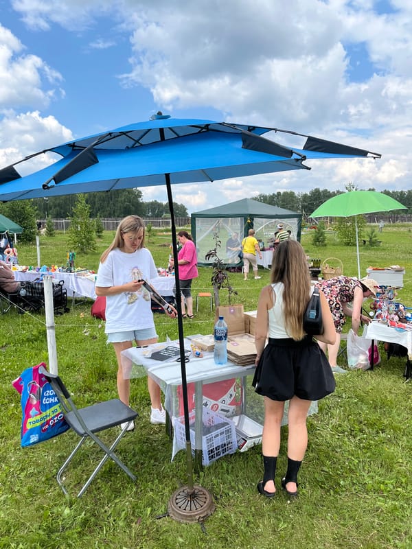 Rural fair day: market stalls, wolf enclosure, and pond geese
