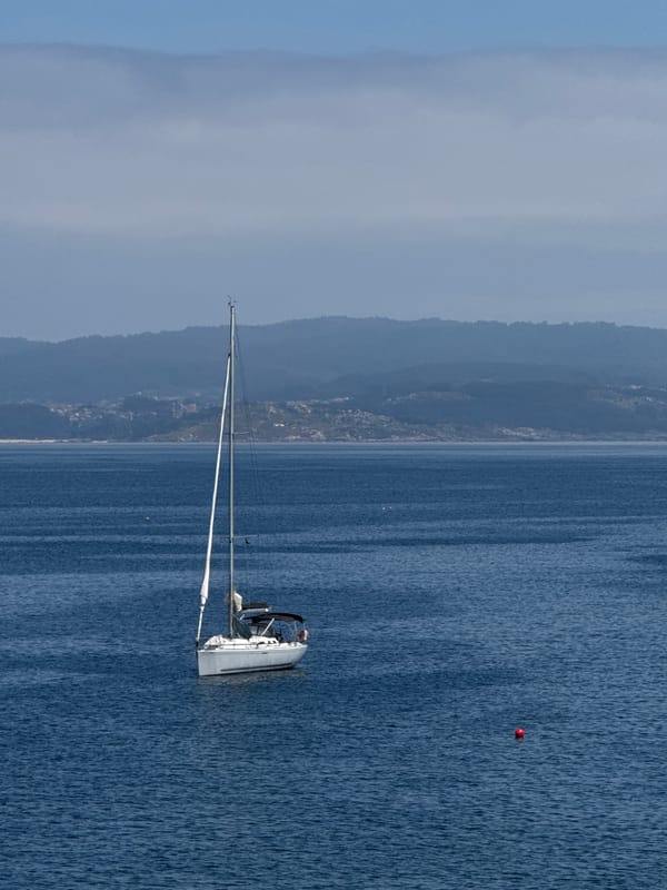 Sailboat anchored off Ons Island, lizard spotted ashore
