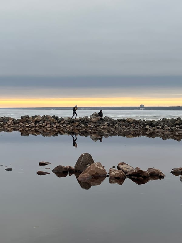 Winter coastal scenes captured near Sestroretsk, Russia