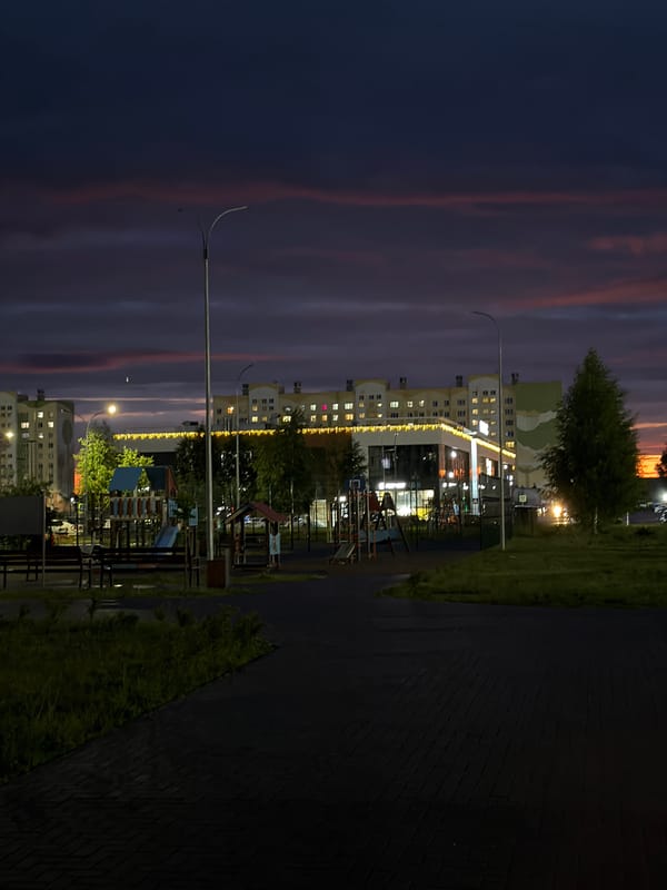 Rainy dusk walk through Nizhnekamsk, daisy in hand
