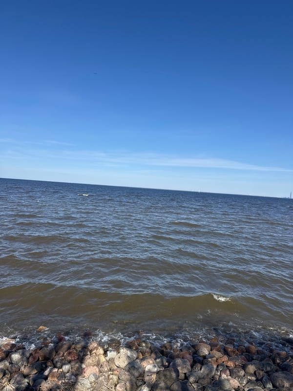 Tourist captures spring day at Peterhof Palace grounds