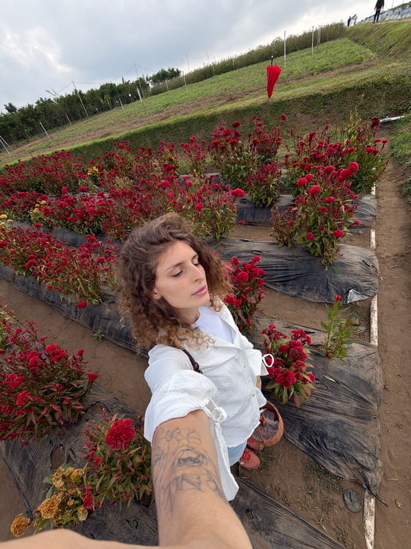 Friday flower field visit with a scooter ride and a Pomeranian