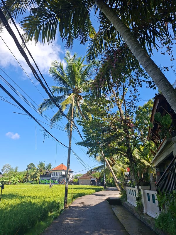 Morning photography session captures rural Indonesian landscapes and architecture