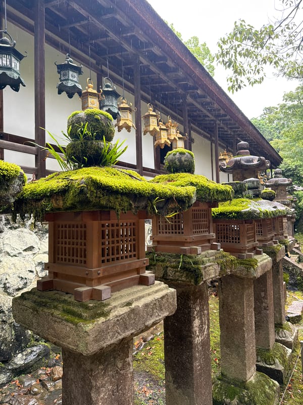 Rainy morning walk through Kasuga Taisha Shrine, Nara