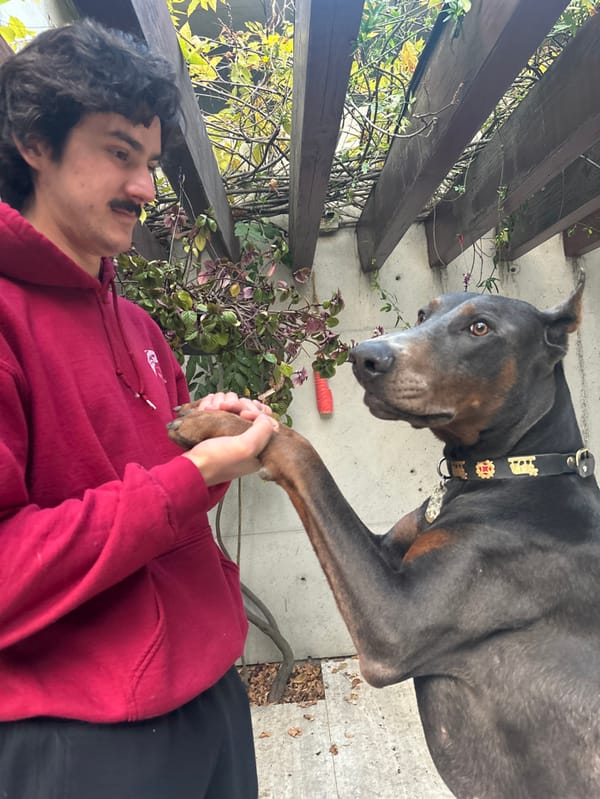 Man and dog interact near pergola in Naucalpan