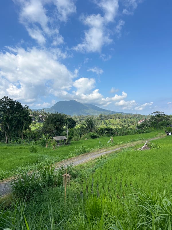 Rural agricultural landscape documented near Abang, Indonesia