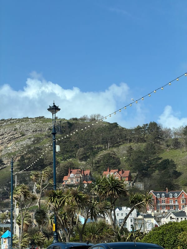 Llandudno's scenic cliffs and hillside homes documented by observer