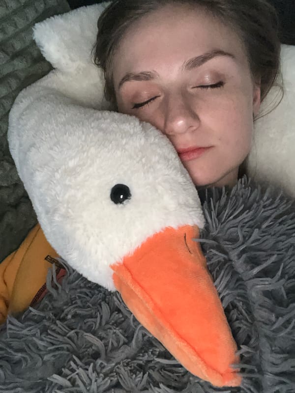 Woman sleeps on stuffed goose in Novosibirsk