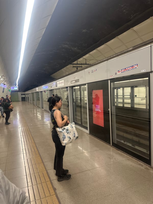 Evening transit scenes documented across Santiago subway system