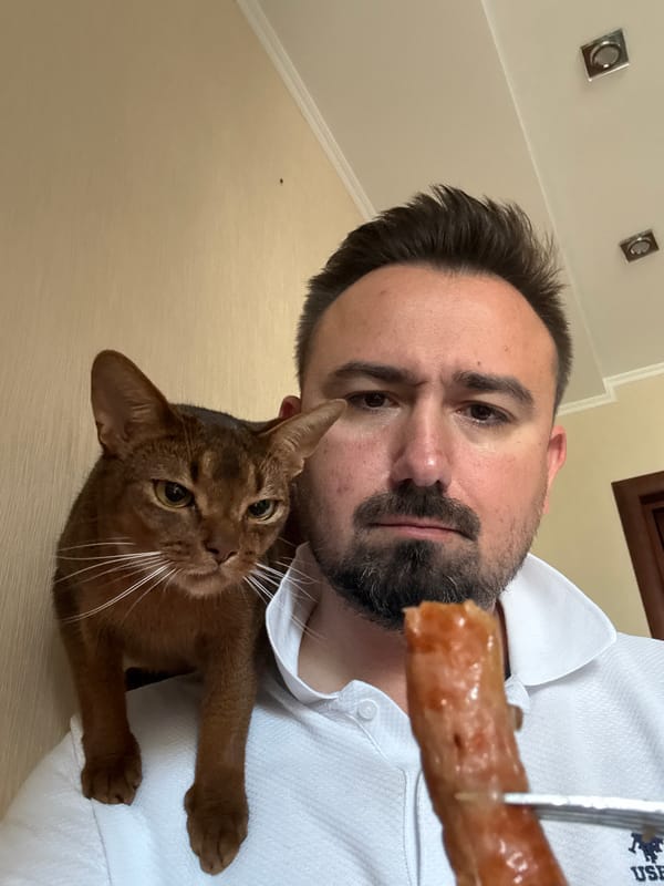 Cat on shoulder eyes a forkful of food indoors