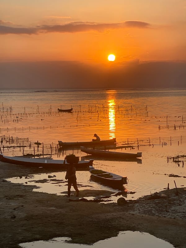 Sunset, hammocks, and seaweed farming on Nusa Penida