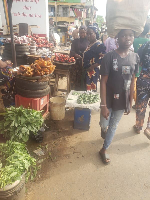 Market activity recorded in Apataganga, Nigeria