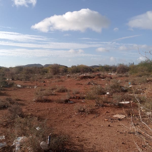 Venezuelan communities document widespread litter in arid landscape