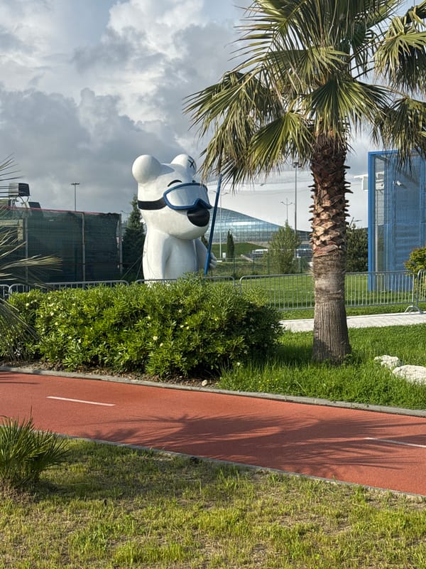 Leisure activities and public art captured in Sirius, Russia