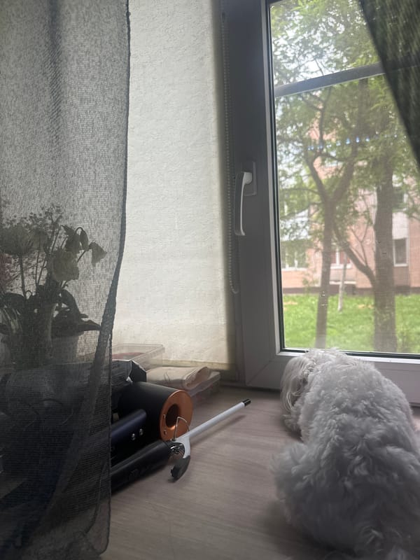 White dog on a windowsill, work session, and a simple meal in Kamchatka