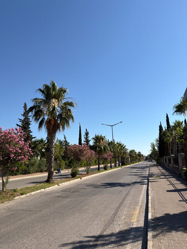 Quiet morning street life along Kemer's palm-lined roads