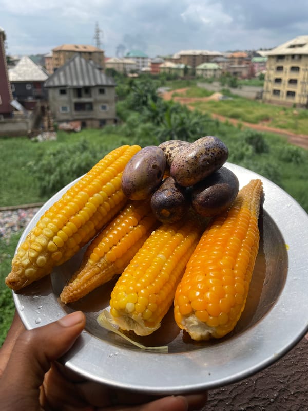 Nkpor streets, drainage issues, and daily life on a cloudy afternoon