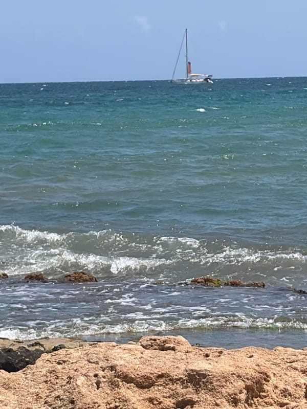 Afternoon at the Torrevieja coast, sailboats and sea