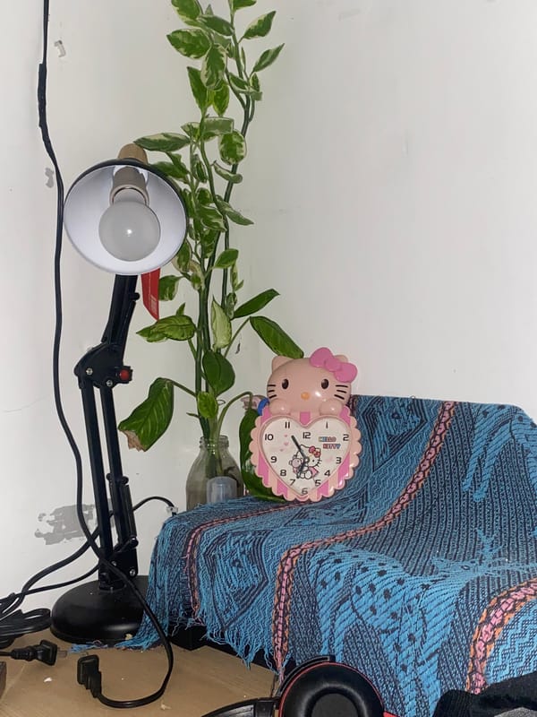 Domestic scenes documented in Davao City homes