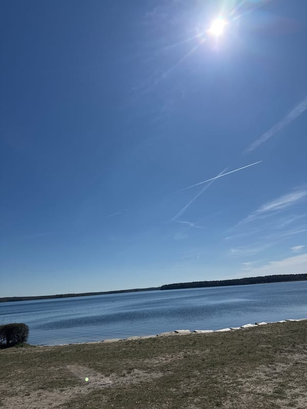 Peaceful morning documented at Lake Senftenberg, Germany