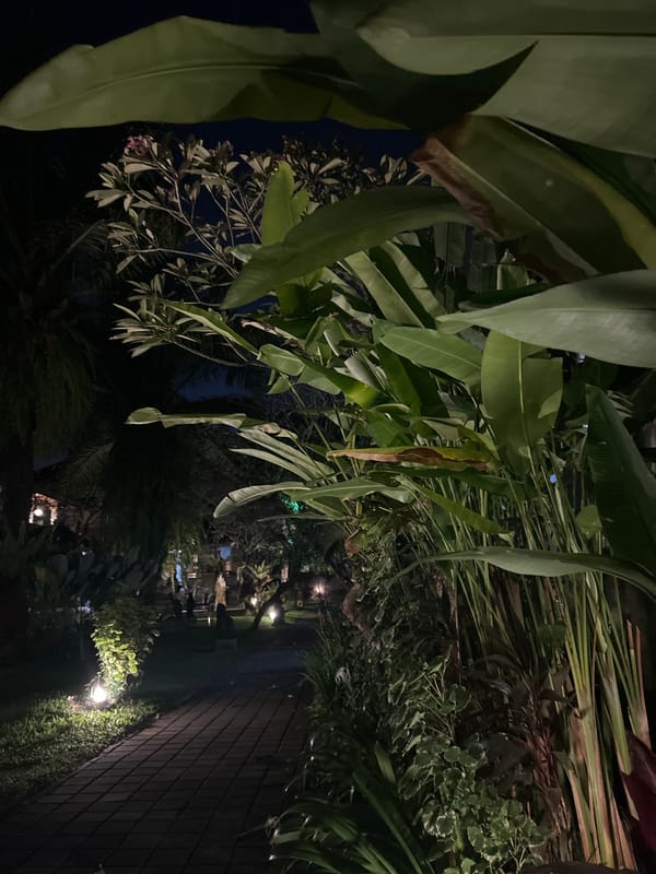 Live music and garden vibes at a Denpasar venue