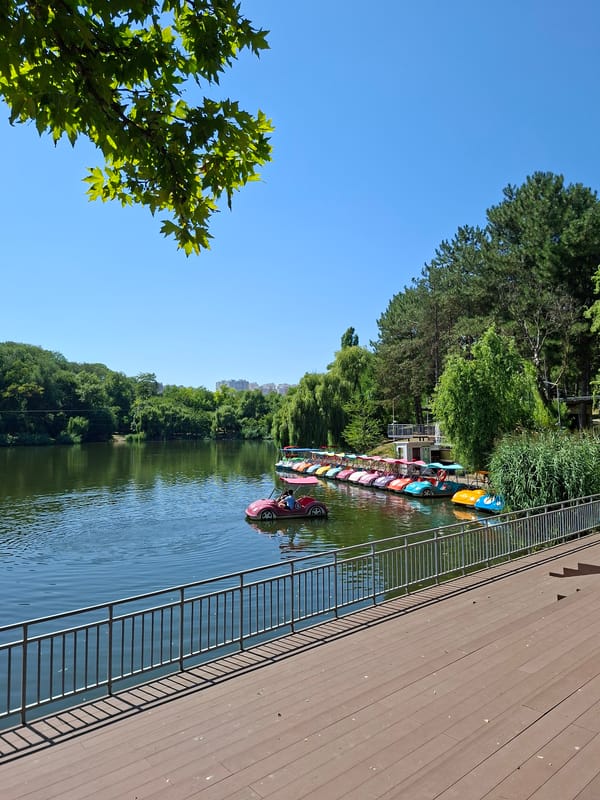 Lazy summer morning at Chișinău's Dendrarium Park lake