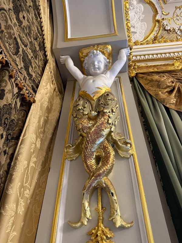 Unknown witness documents Saint Petersburg palace interiors during morning tour
