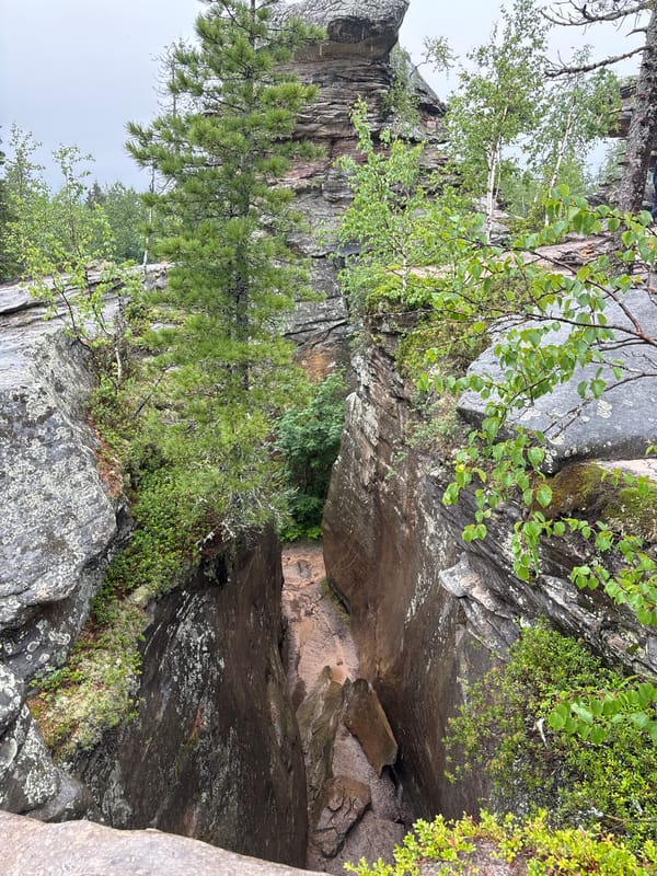 Rainy morning forest hike documented in Shumikhinskii nature area