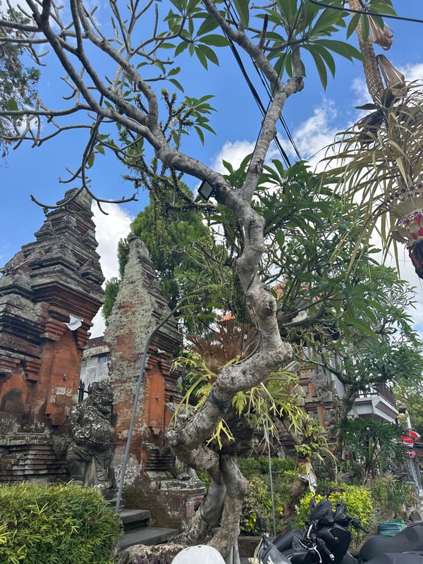 Early morning through Ubud's temples, streets, and market stalls