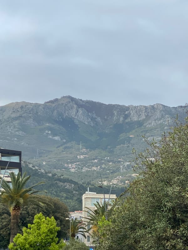 Dog walker captures everyday park scenes in Budva, Montenegro