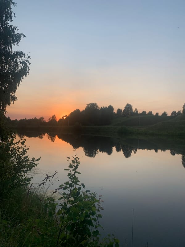 Lakeside summer evening with dogs, a campfire, and a toddler