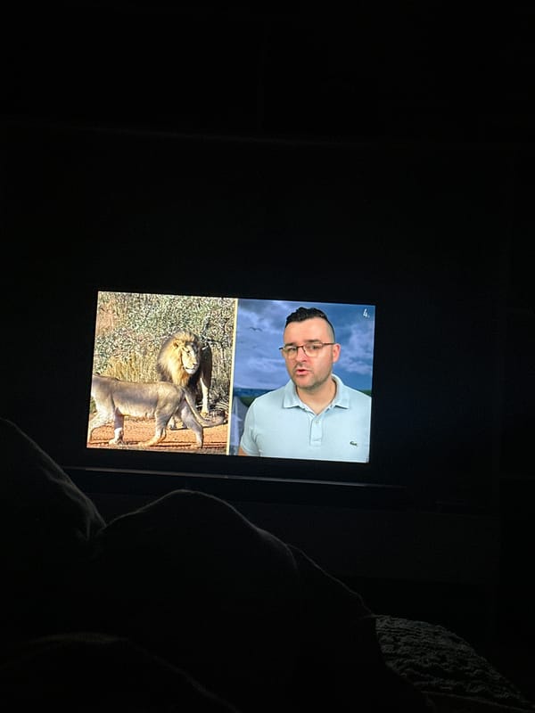Monitor shows split screen: speaking man, lions in habitat