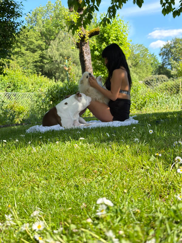Casual afternoon dog activities observed in Nuremberg yard