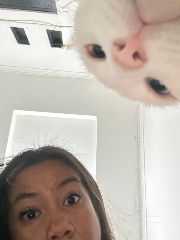 Woman takes playful selfies with dressed white cat in Jakarta