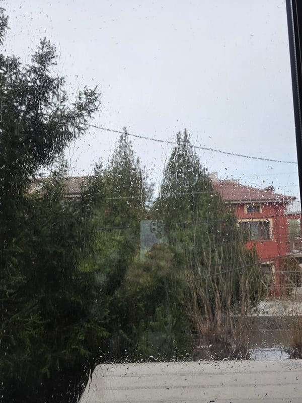 Man documents quiet morning at home in Bulgarian village