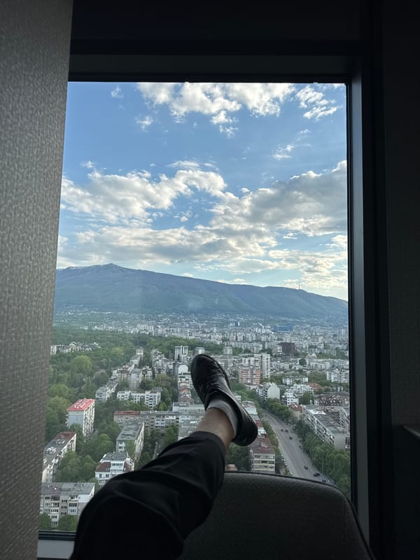 Window views of Sofia skyline captured from high-rise building