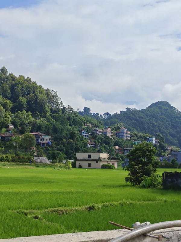 Rice paddies and hillside buildings on Pokhara's rural edges