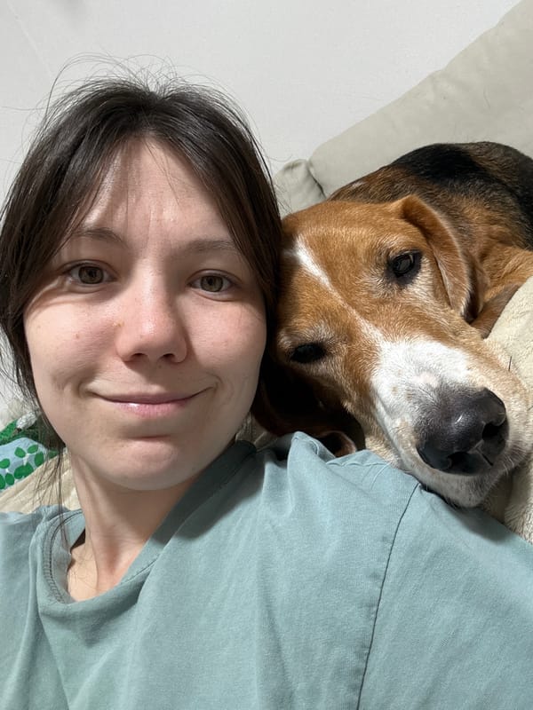 Woman films selfies with beagle companion on bed in Petah Tikva