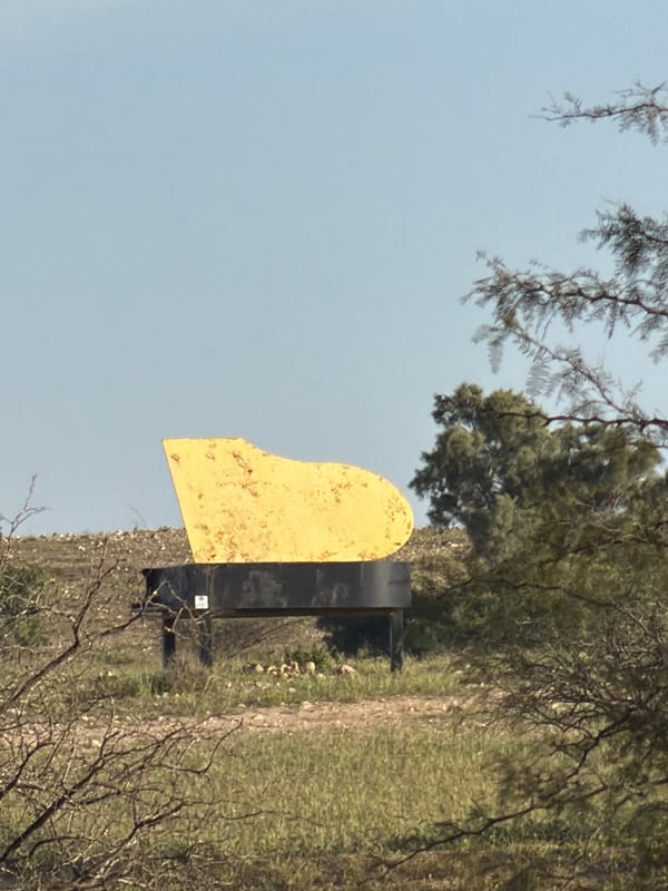 Target stand spotted in rural Israeli woodland area