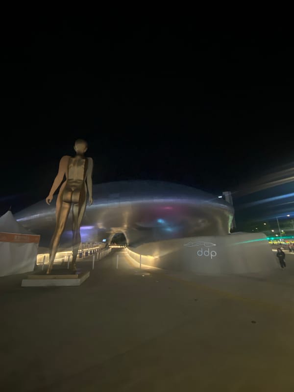Nighttime Seoul scenes documented near Dongdaemun Design Plaza