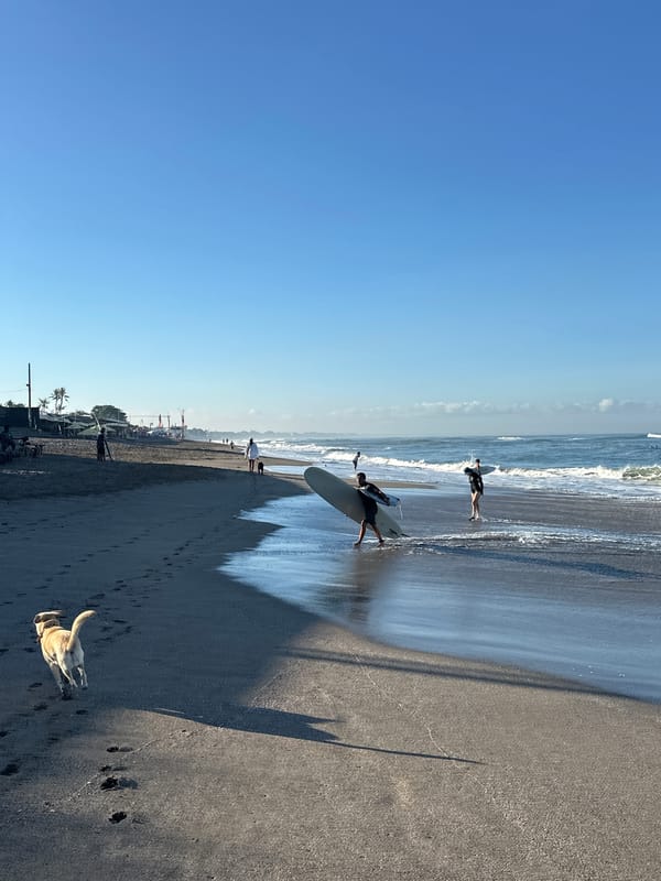 North Kuta beach life: surf, sand, dogs, and downtime
