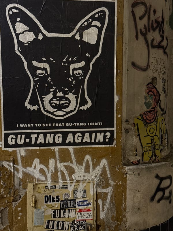Warsaw street wall documented with layered graffiti and posters